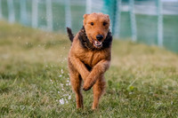 MCH75015