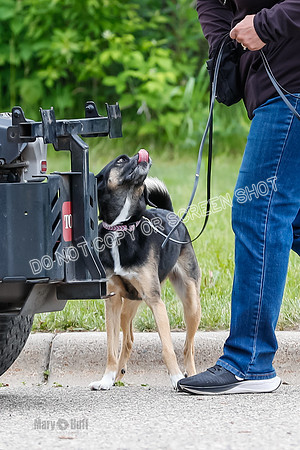 L3 Vehicle-7291