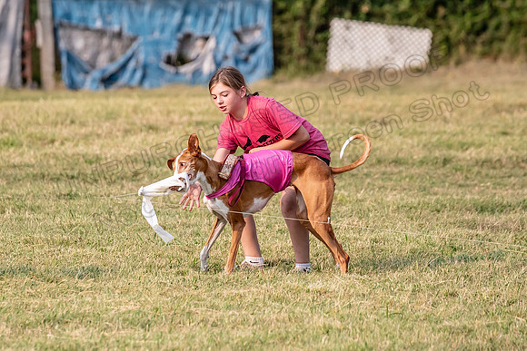 1prelims Vet 1prelim Izzy Dawn-3793