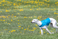 1Prelims Veterans 1 Rosa Marley Luna-1615