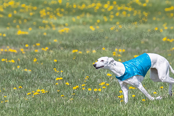 1Prelims Veterans 1 Rosa Marley Luna-1615