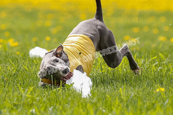 _E4I6625