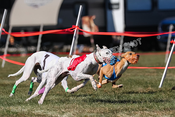 Prg 4, Race 13, oats Bookie Reas Rizzo-2763