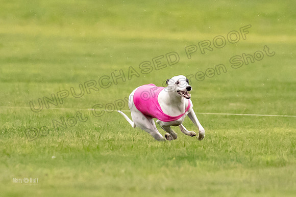 Prelims Fch-Vet 2, Flare Huxley-0366