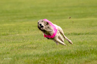 Prelim Open Silken-