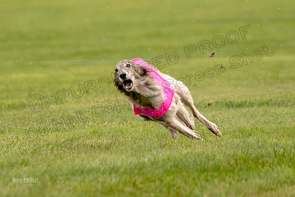 Prelim Open Silken-