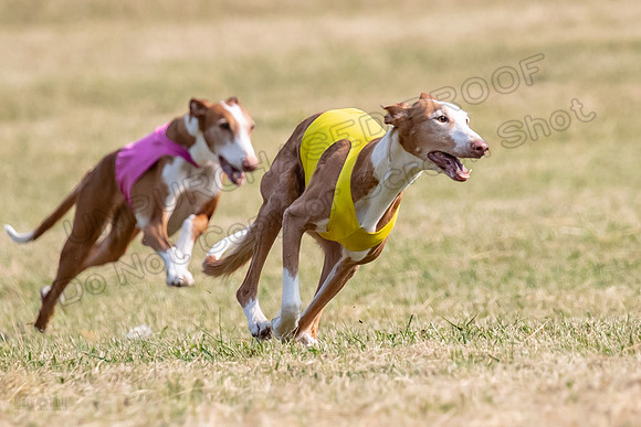 Finals Veteran Izzy Dawn-4278