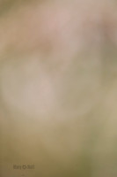 _E4I3739