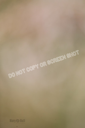 _E4I3739