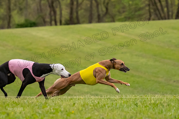Prelim Open C1, Wrath Ozzy Fia-3887