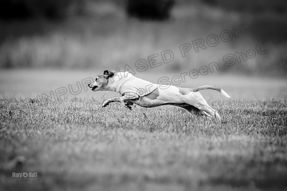 Prelims Rocketgirl-1118-2