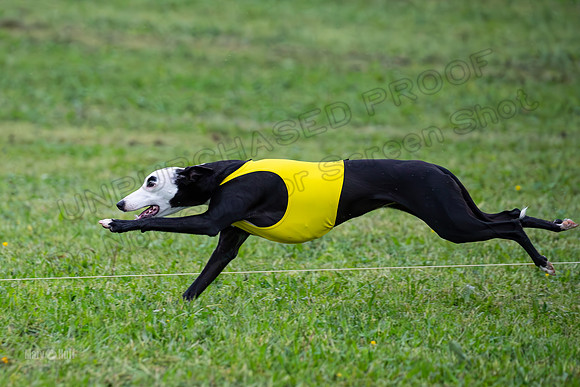 Prelims Open A2, Poppy Mateo Misty-3247