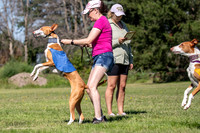 Prelims Fch 1 Ginny Willow Madyson-5401