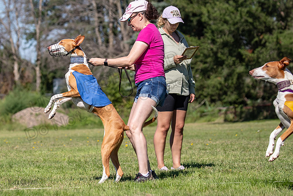 Prelims Fch 1 Ginny Willow Madyson-5401