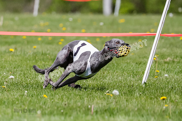 NOTRA Program 2, Race 6, Cinder Stormy Gibbs Shakespeare-2-4