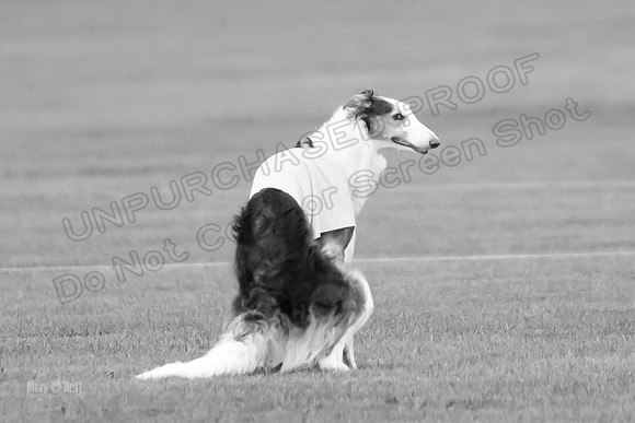 Open Prelim Bluegene Rhett Zen-0514-2