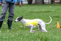 Finals Whippet Specials-4719