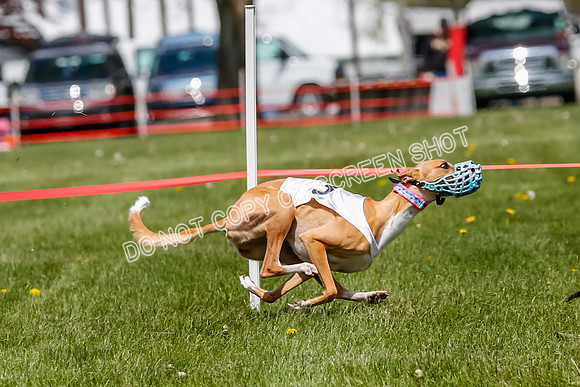 NOTRA Program 3, Race 4, Maybe Power Flora Clyps-2-6