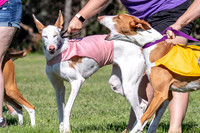 Prelims Fch 1 Ginny Willow Madyson-5412