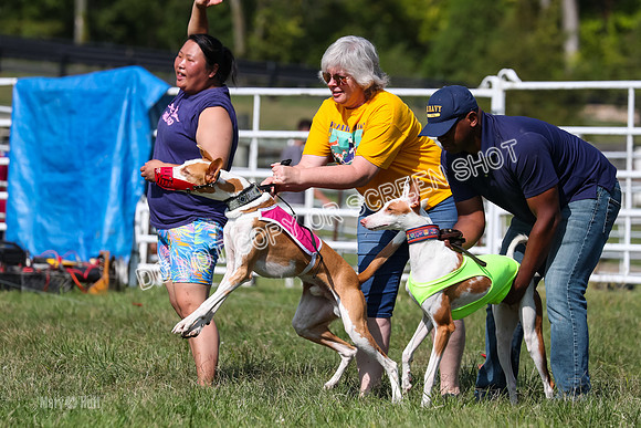 Open Prelim B2, Latte, Wizard-7846