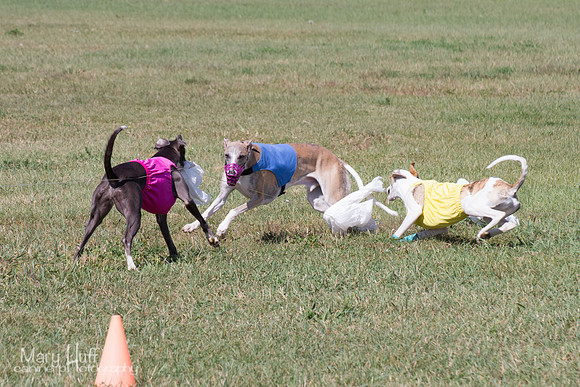 IMG_6291
