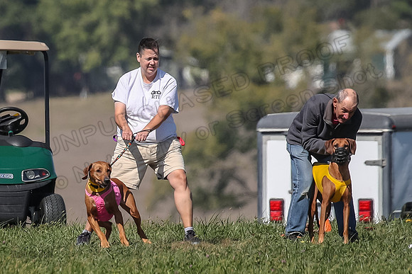 2 Finals Vet 2 Erzulie Libby-8148