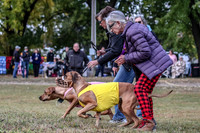 1 Prelims Open Kinky Rein-0220