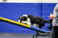AE4I8145