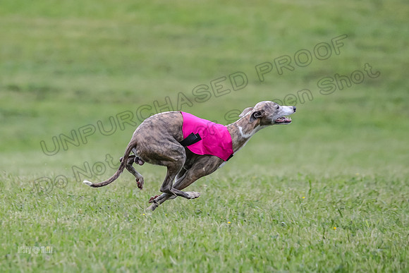 Prelim Open E5, Scorch Cobalt Kiwi-9179