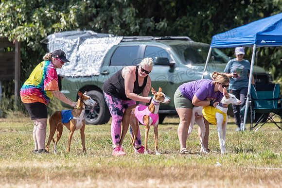 Finals Specials B2 Willow Katy Penny-1442