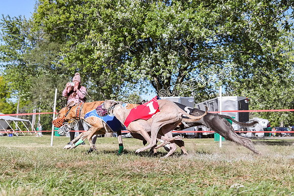 Prg 2, Race 2, Dash, Blitz Mauser Mika Cobalt Reas-9355