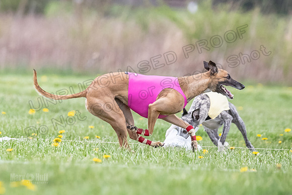 Finals Fch A1 Whisper Treble JesseJames-9101