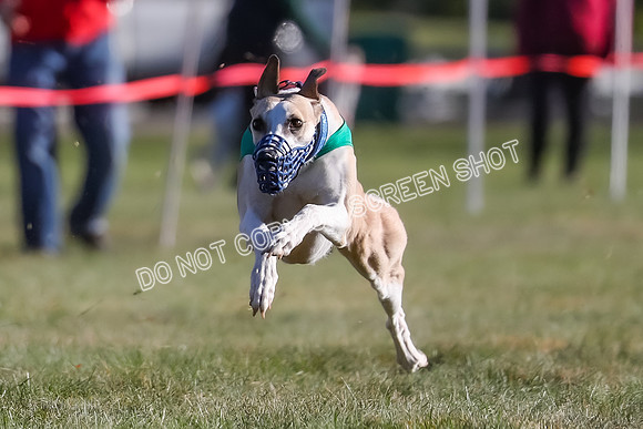 Prg 1, Race 18, Hillary Axl Chase Joplin Rum-9275