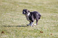 IMG_9641