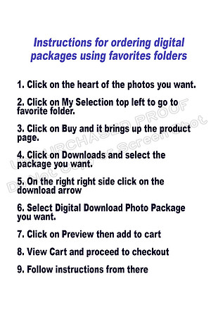 How to Order copy