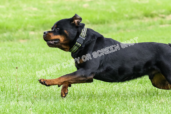 MCH78605