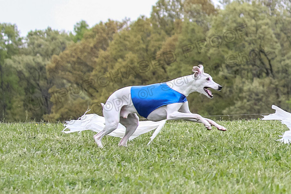 Finals Open C4, Ripley Prim Synner-0768