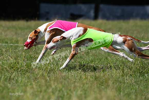 Open Prelim B2, Latte, Wizard-7874