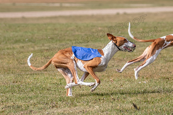 Finals Fch 1 Penny Jadis Madyson-3089