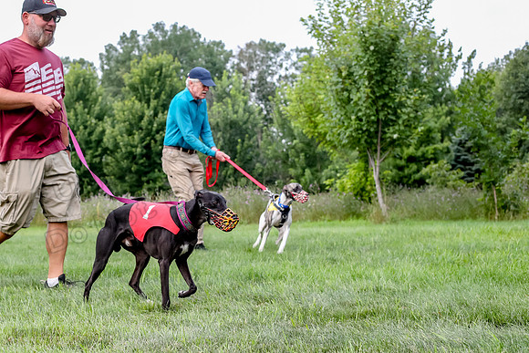 prg 1 race 3 Julian Guy Valerie Meatloaf Rhylie Quinn-3530