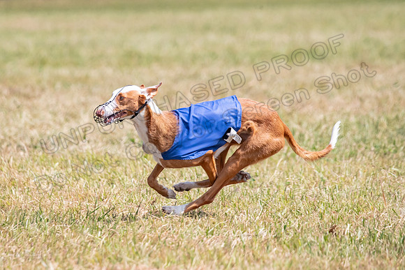 Finals Specials B2 Willow Katy Penny-1458