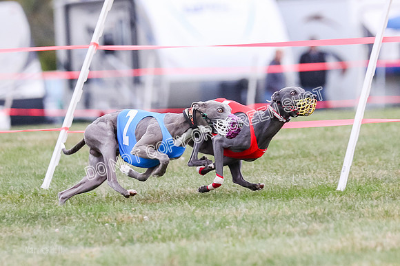Prg 1, race 12, Gibbs Java Watson Tsunami-0852