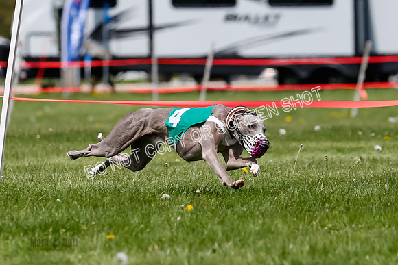 NOTRA Program 3, Race 8,Savvy Joplin Torque Java-2-7
