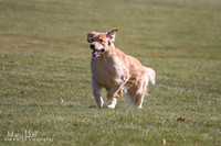 IMG_9677