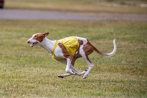 Finals Open 1 Jagger Maverick-3023