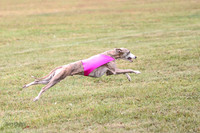 1 Prelims Open 1 AnnieOakley Fennec Zero-1230