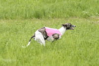 AE4I8099