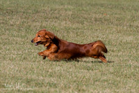 IMG_1842