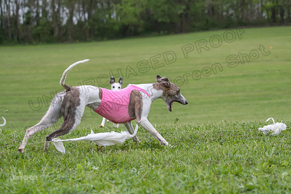 Finals Open A2, Lydia Audrey Misty-6708