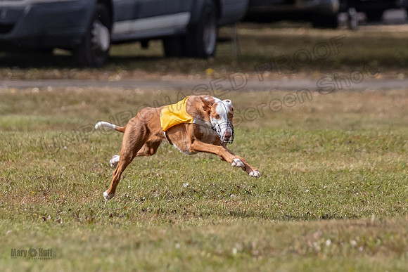 Finals Fch 1 Penny Jadis Madyson-3075